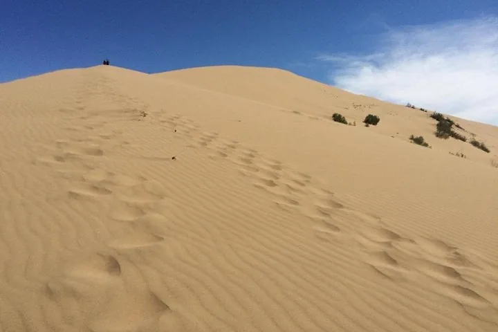 Fußspuren führen eine große Sanddüne hinauf, oben sind zwei kleine Figuren zu sehen.