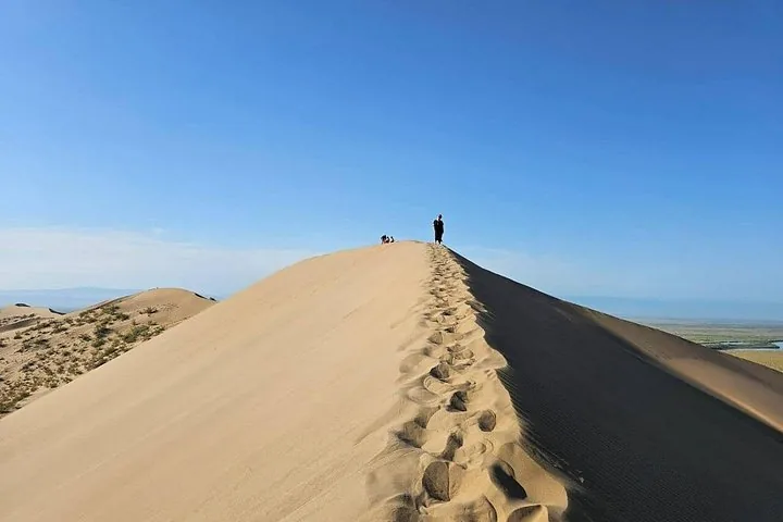 Une personne debout au sommet d’une grande dune de sable dans le parc.